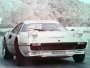 4 Ferrari 308 GTB4 Lucky - Berro (32)